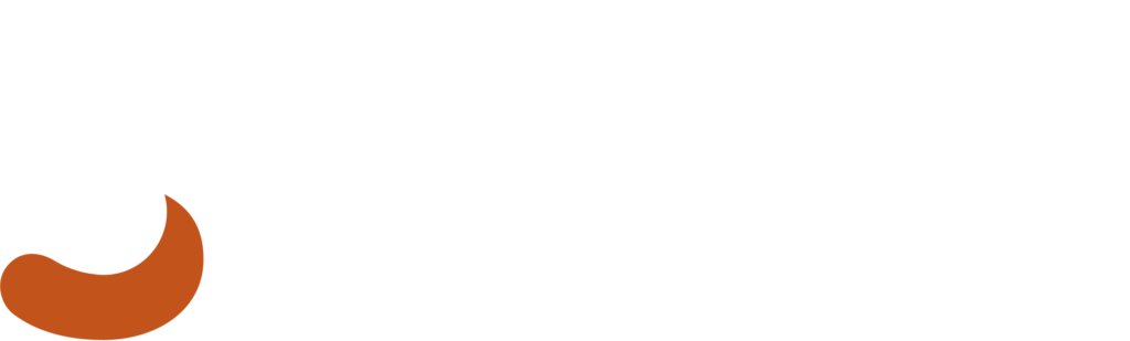 Stuo logo white